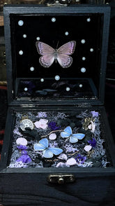 Butterfly Specimen Music Box – Enchanted Keepsake with Soothing Melody